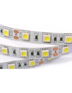 Стрічка LED 5050 холодна біла (неізол.) 14,4 Вт./м.п. 60LED / м.п.