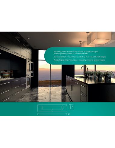 Ручка GTV релинг RS хром RE1004