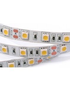 Стрічка LED 5050 холодна біла (неізол.) 14,4 Вт./м.п. 60LED / м.п.