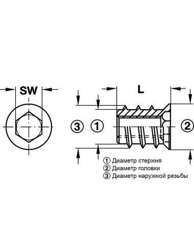 Муфта для вгвинчування M8 14 x 15 SW8 з жовтої хромованої сталі