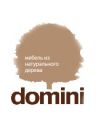 Domini